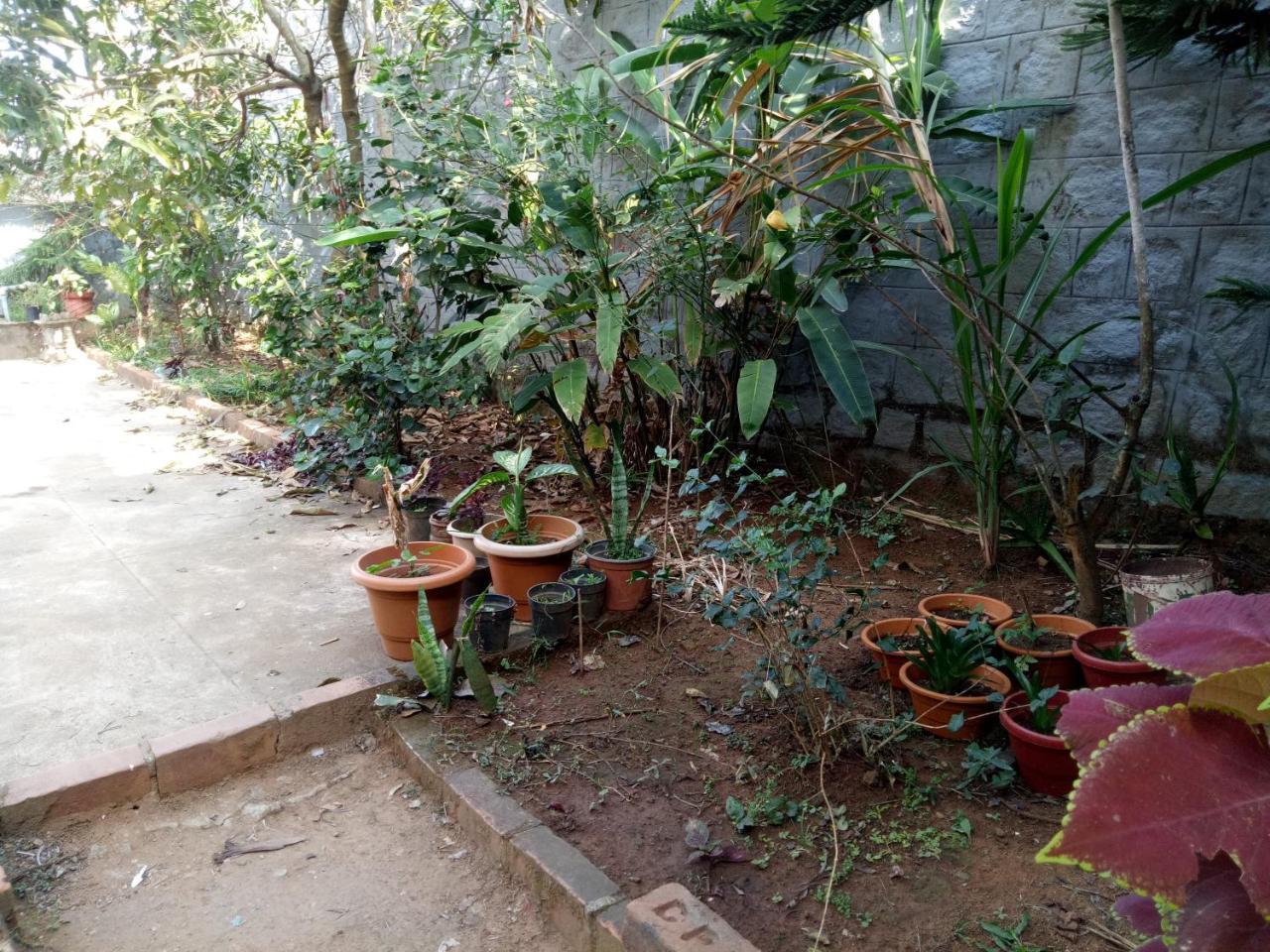 Coorg Villas Madikeri Exterior foto